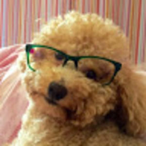 Meet your Posher, Alysha